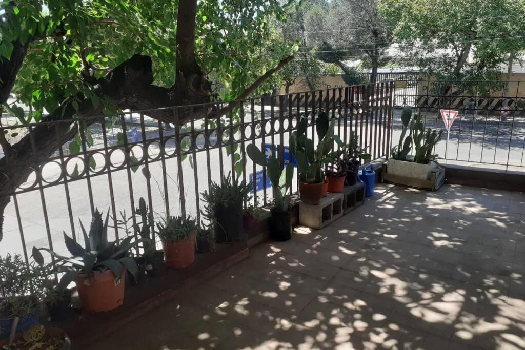 Amplio Departamento, La Mejor Ubicación En * Mendoza